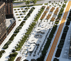 Берёзовая роща